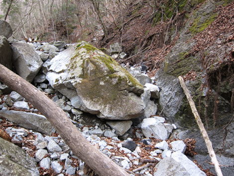 20200110hike (326)
